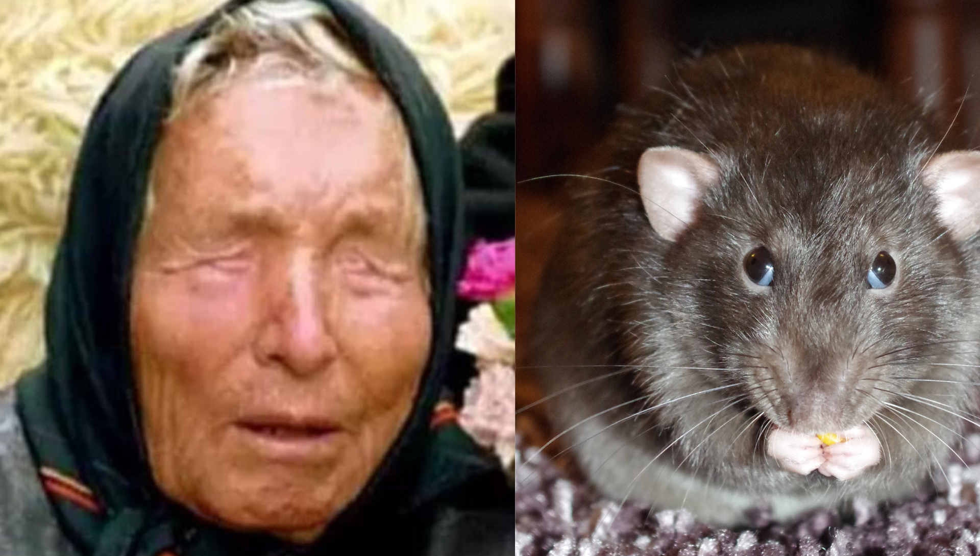 ¿Baba Vanga predijo la emergencia sanitaria por el hantavirus? Se viraliza predicción