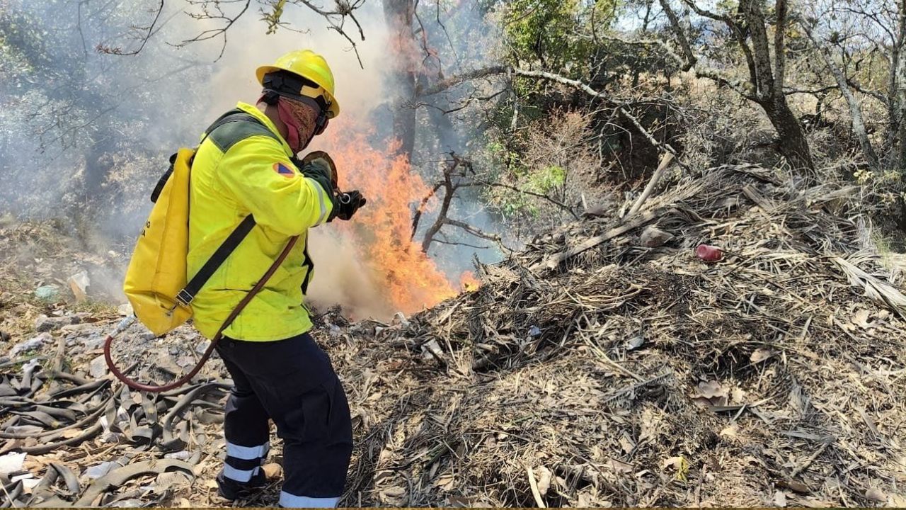 FOTOS: Incendio consumió barranca en Xonacatepec, Puebla hoy; así quedó
