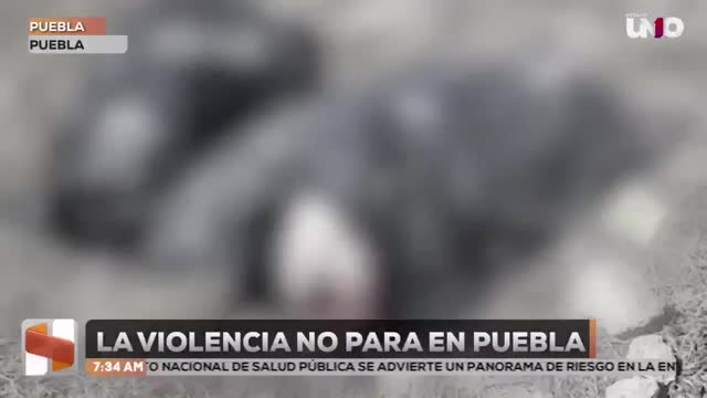 ¡Los crímenes no dan tregua! Puebla suma 197 homicidios en 2026. La violencia está incontenible en el gobierno de Alejandro Armenta, y sin estrategia de Francisco Sánchez