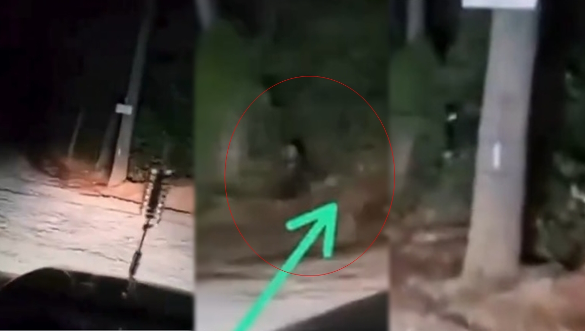 Fantasma de un niño es viral tras asustar a un automovilista: VIDEO
