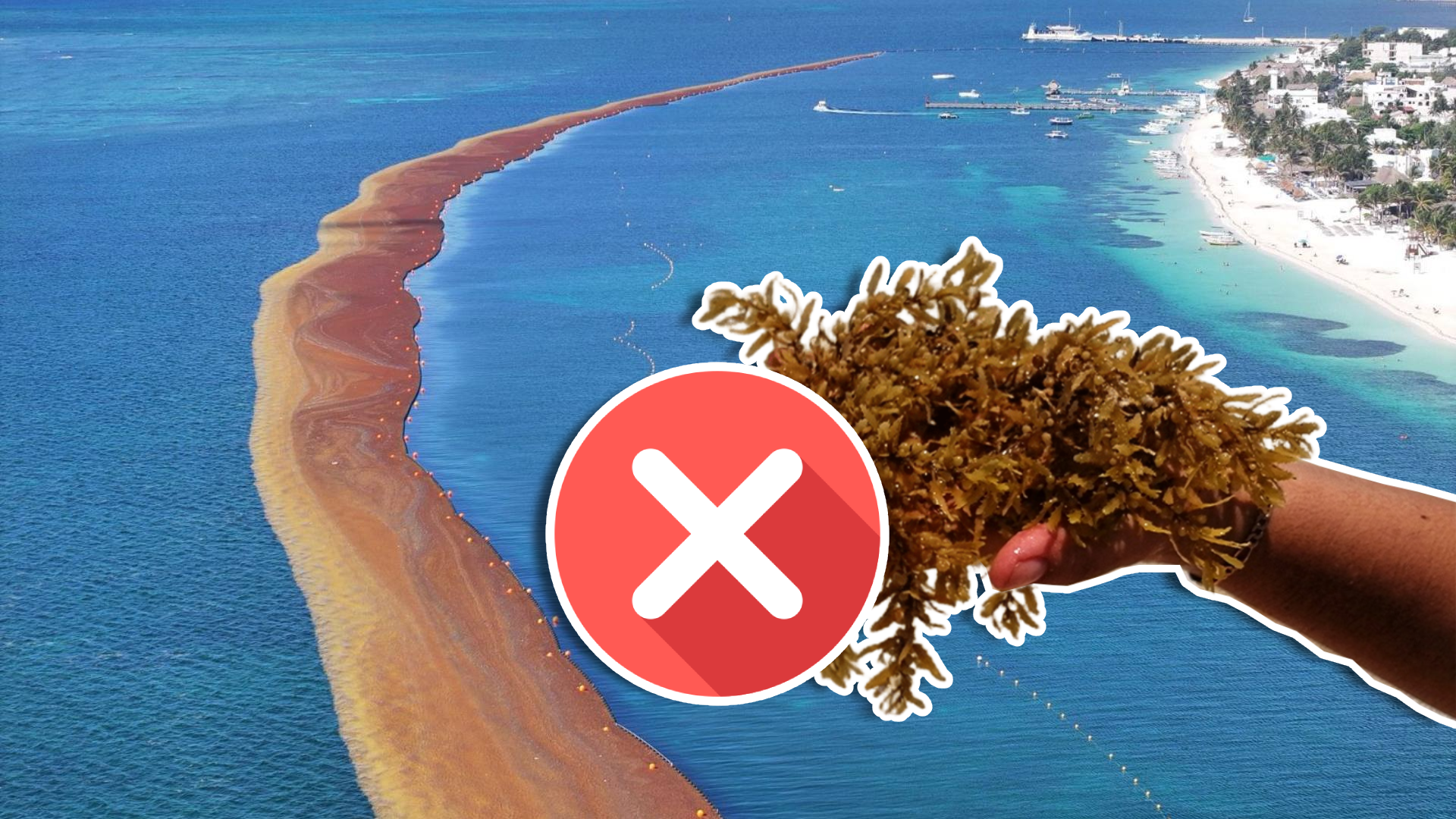 Playas sin sargazo en Cancún y todo Quintana Roo HOY 27 de abril de ...