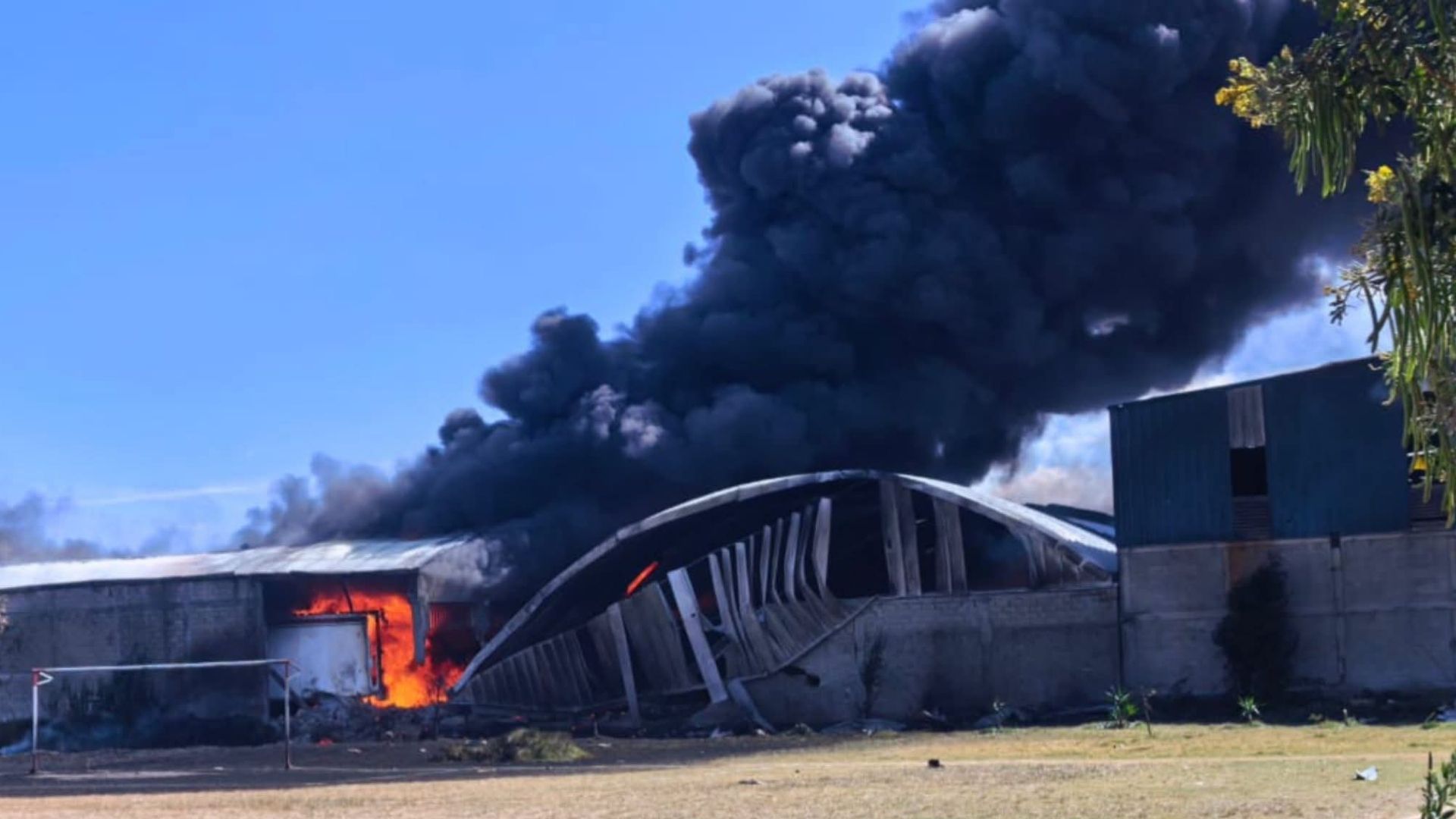 Accidente aéreo en Toluca: siete personas fallecen tras caída de avioneta cerca del aeropuerto
