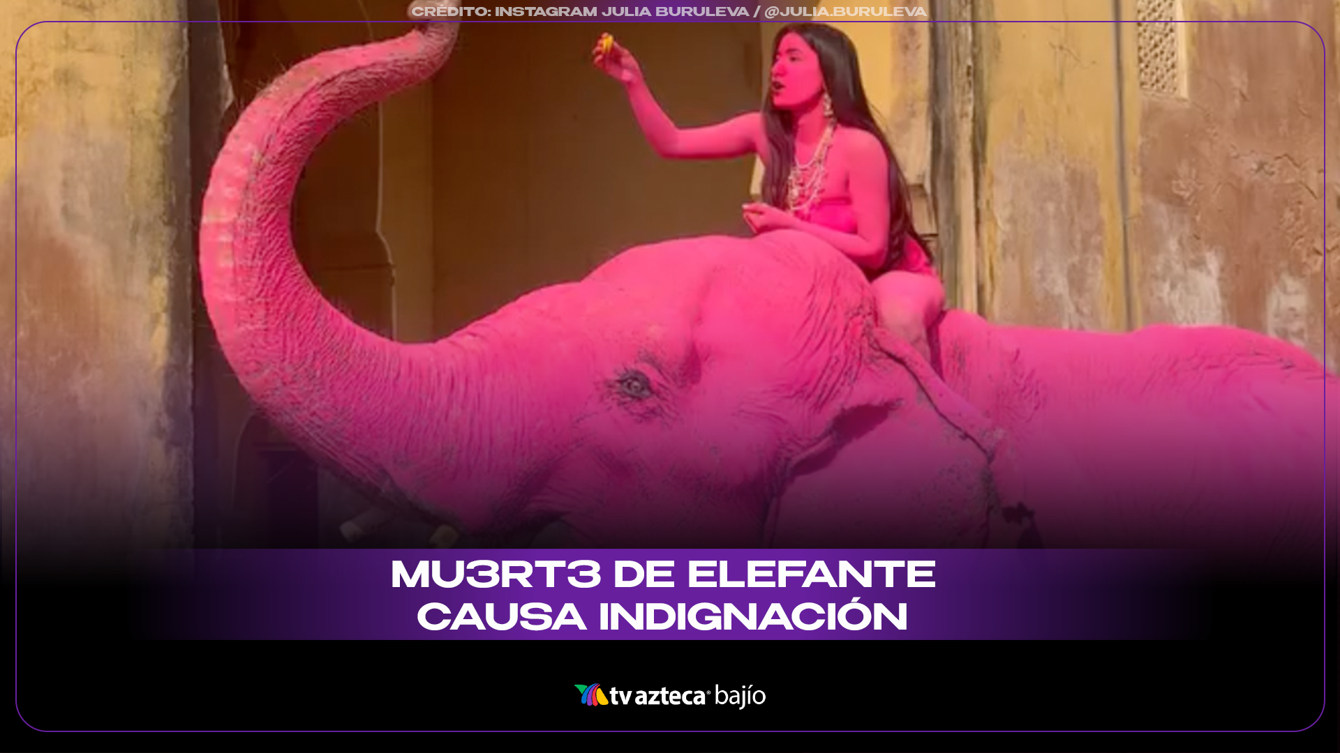 Elefante Rosa Mario Fallece elefante rosa en India 2026: Caso Chanchal en Rajastán