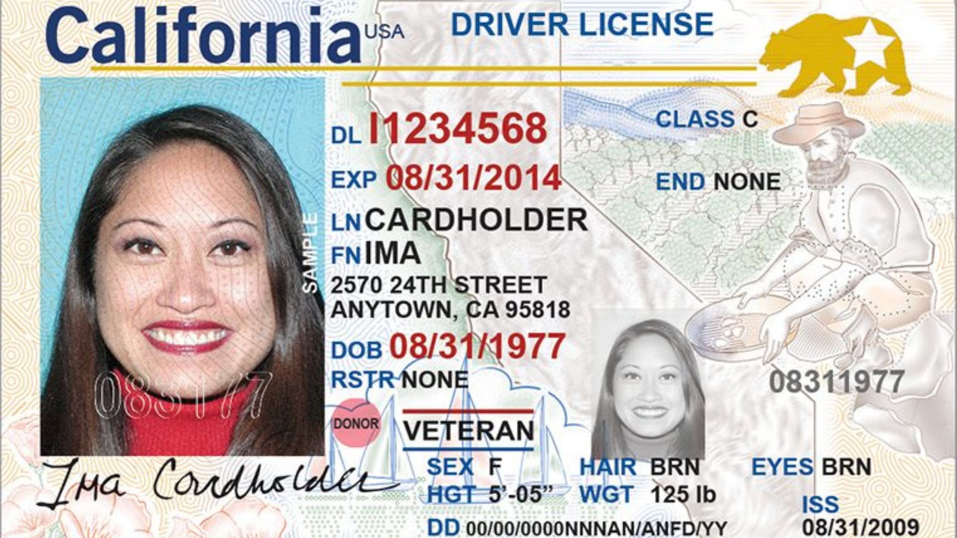 Así puedes solicitar la Real ID en California: ¿es obligatoria?