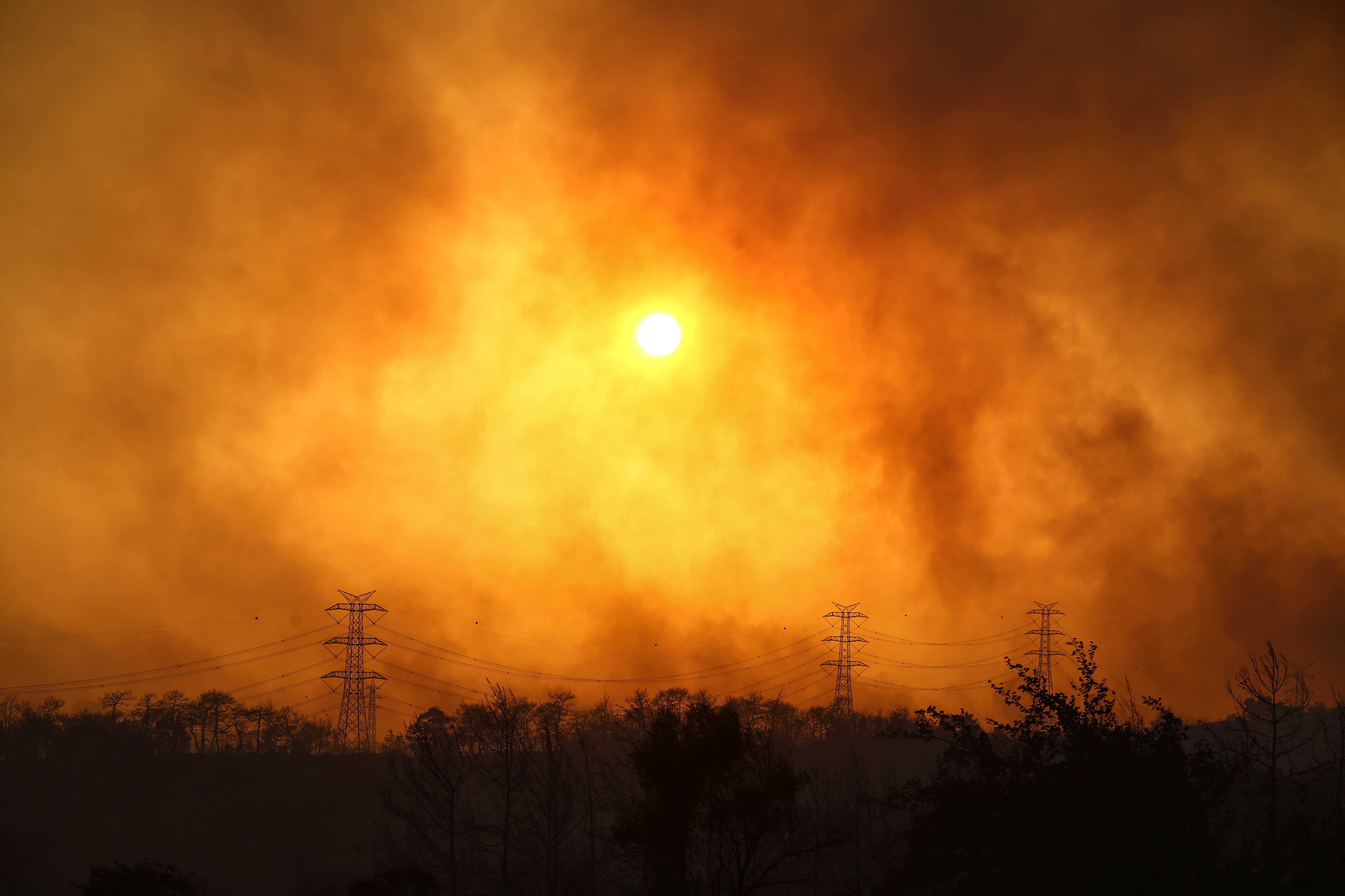 Autoridades investigarán masivo incendio forestal en Turquía - Vimarsana News