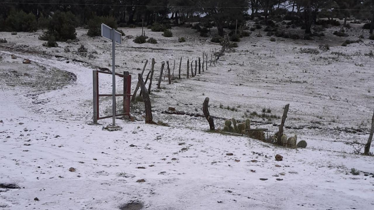 ¿Qué es aguanieve y cuál es su diferencia con la nieve?
