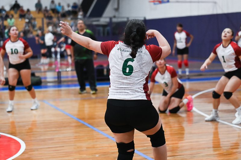 voleibol_100.jpg