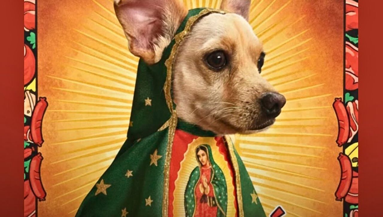 ¿Ya conoces a Lobis? El lomito guadalupano que protagoniza el calendario navideño más viral de México