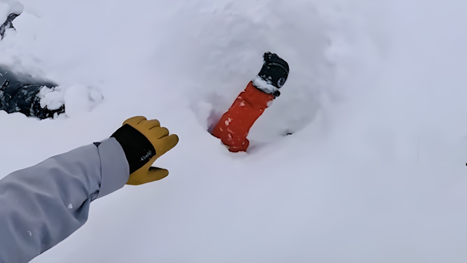 VIDEO Rescatan a esquiador sepultado en una avalancha; así ocurrió todo