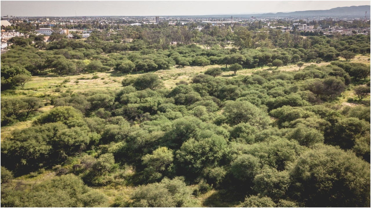 La Pona: El santuario natural que está en riesgo por la urbanización en ...