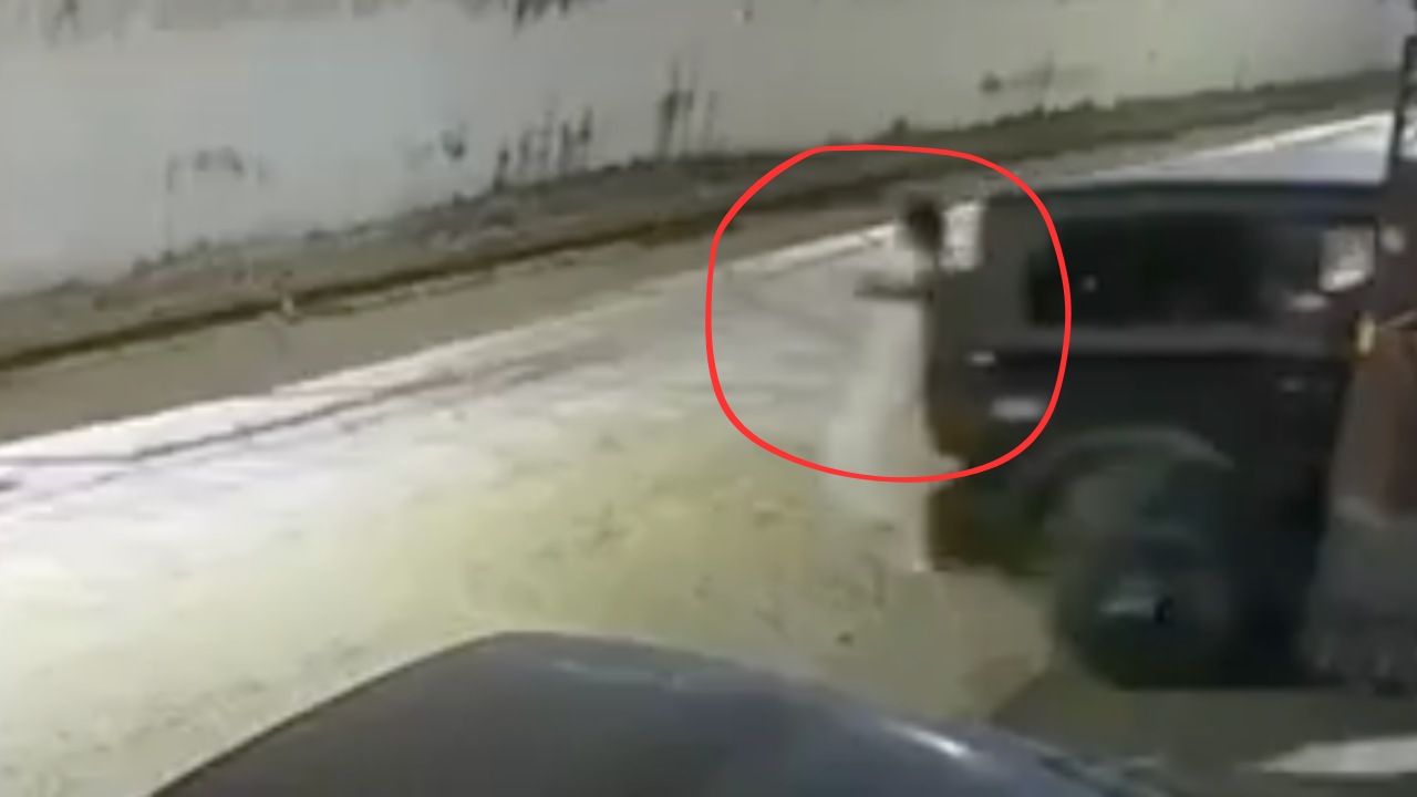 VIDEO MUY FUERTE: Abuelita muere tras ser arrollada y aplastada por el auto de su nieto