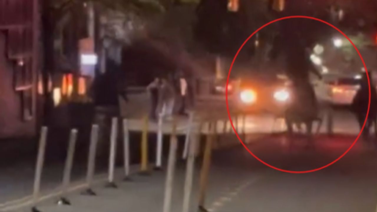 VIDEO FUERTE: Caballo descontrolado termina atropellado; video del MOMENTO EXACTO se vuelve viral