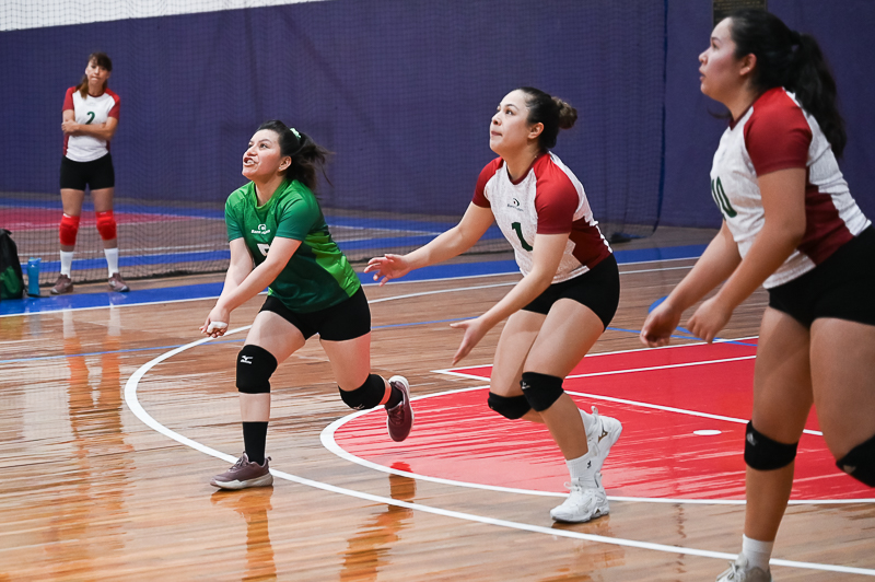 voleibol_112.jpg