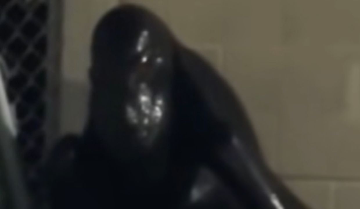 VIDEO: ¿Estaba de vacaciones? Captan a presunto humanoide en plena calle