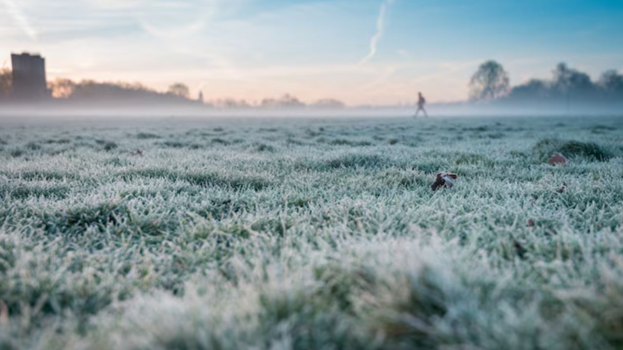 Frente frío 45 ya tiene fecha: traerá lluvias, viento y descenso de temperatura en estos estados ¿Está Puebla entre ellos?