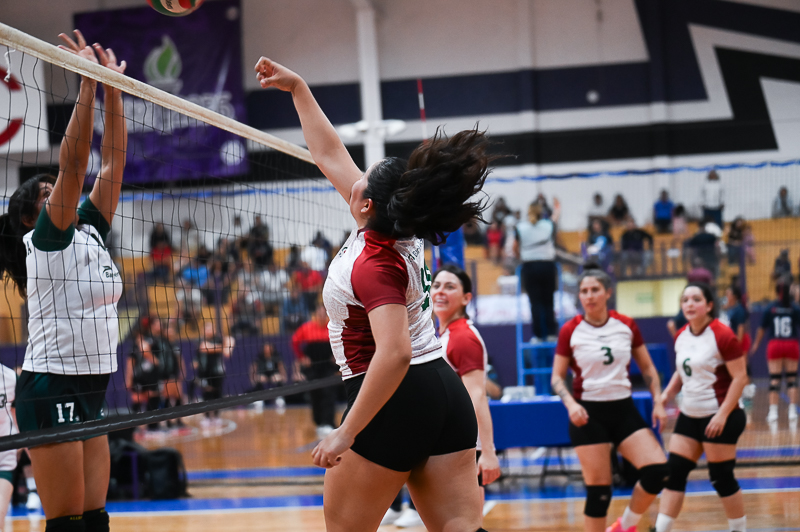 voleibol_076.jpg