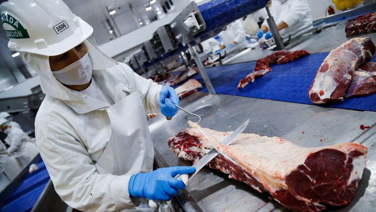 FMI prevé crecimiento económico de 1.5% en 2026; sector privado afirma que es insuficiente