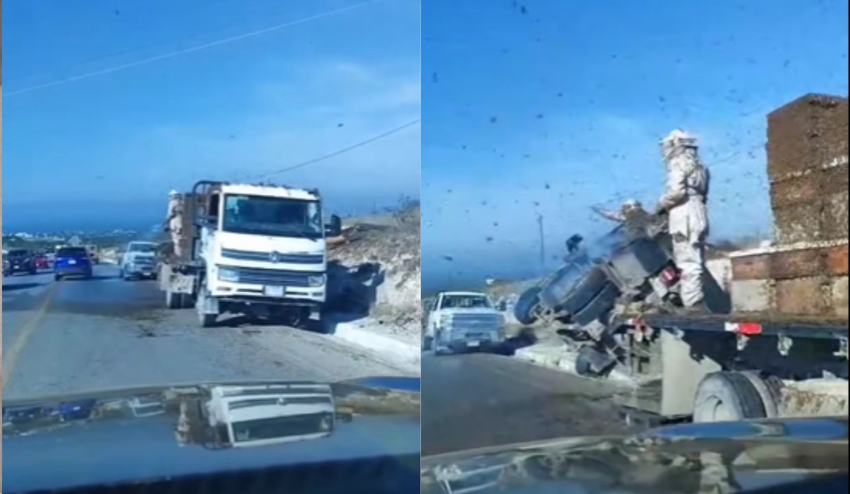 VIDEO: Volcadura de camión genera caos en carretera; la unidad transportaba abejas