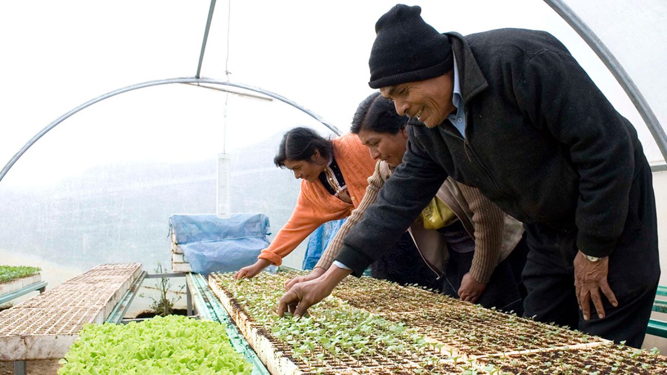 Inicia febrero con chamba; FAO y CELAC de la ONU abren vacantes en México con salarios de hasta 24 mil pesos