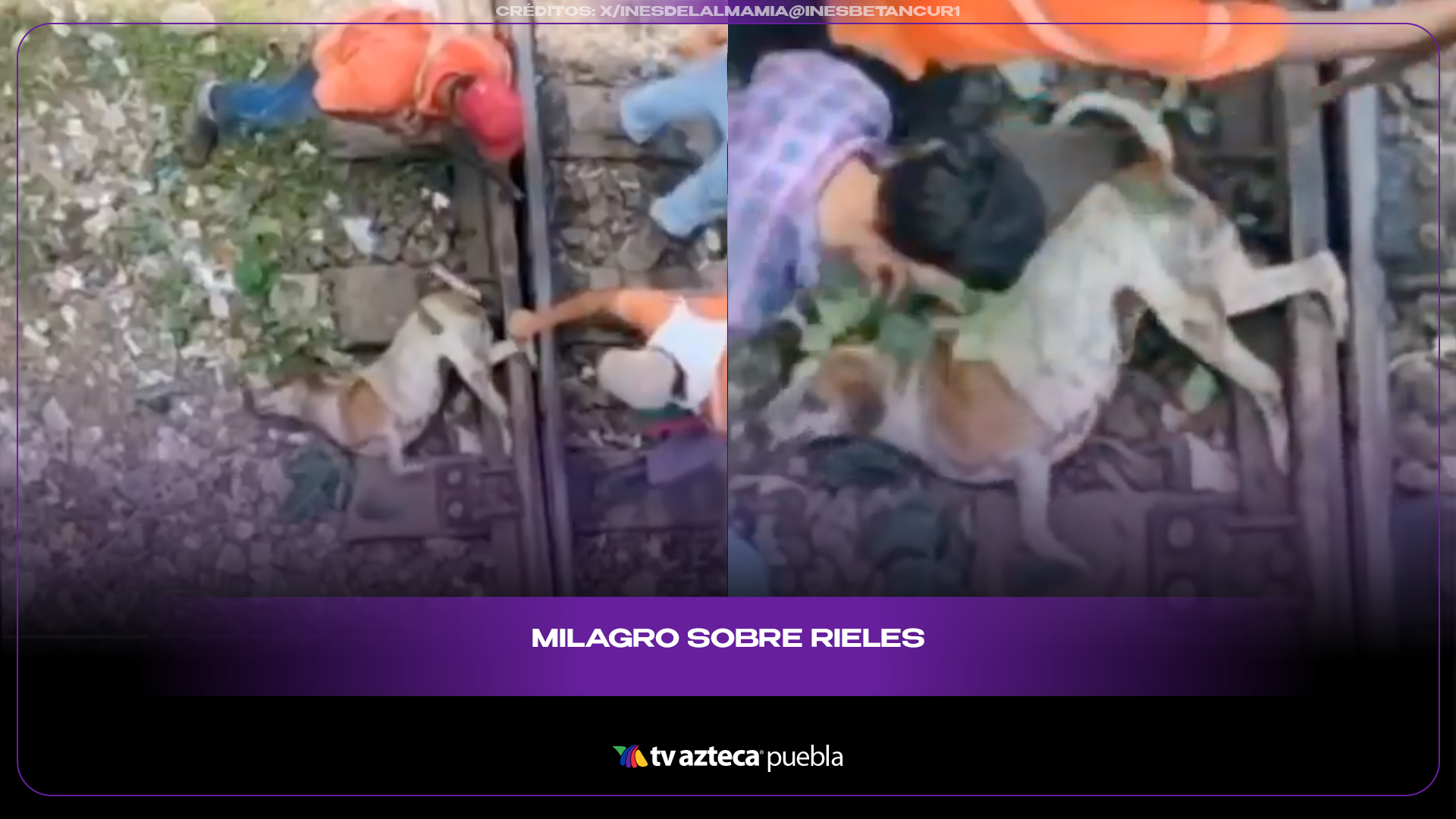 Rescatan a perrito atrapado en vías del tren y conmueven a redes