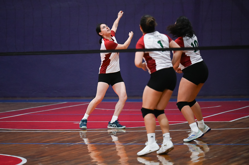 voleibol_060.jpg