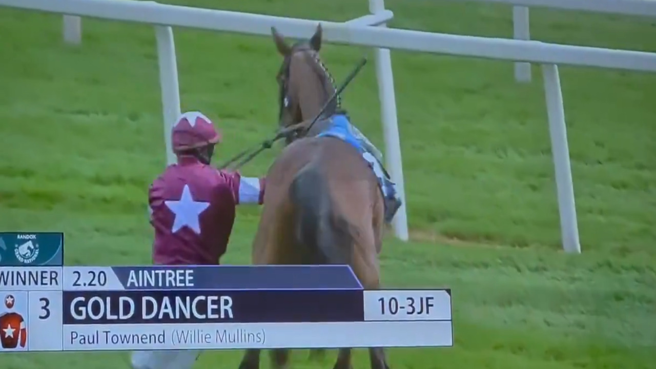 VIDEO FUERTE: Caballo gana una carrera en Aintree, pero es SACRIFICADO tras brutal fractura de espalda