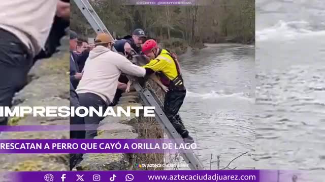 Bomberos rescatan a perro atrapado en la orilla de un río en Washington