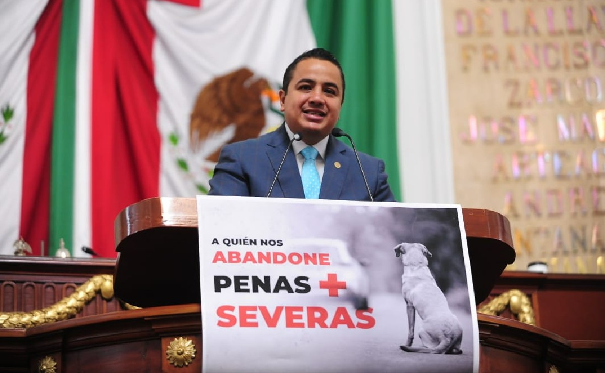 Aumentarían penas por maltrato y abandono de mascotas en CDMX