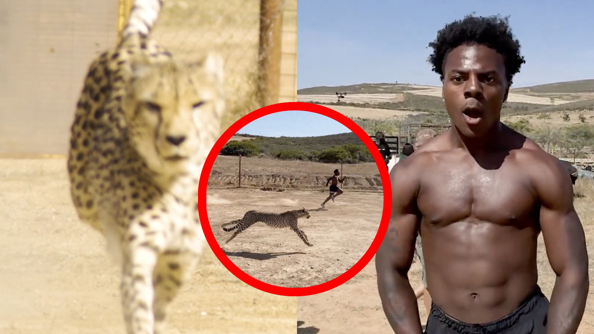 Fuerte VIDEO Guepardo Ataca A Influencer Durante Peligroso Reto De 