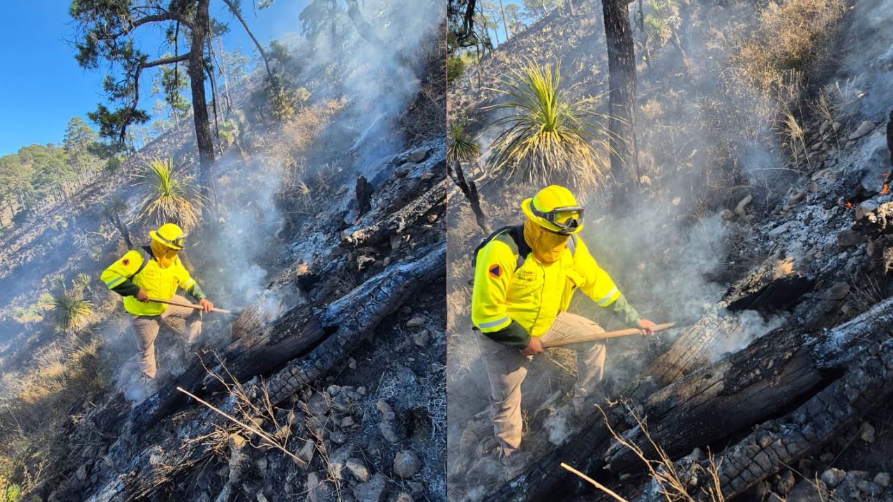 FOTOS: Incendio forestal consumió hasta 15 hectáreas del cerro de Calzacata en Cuyoaco hoy; así quedó