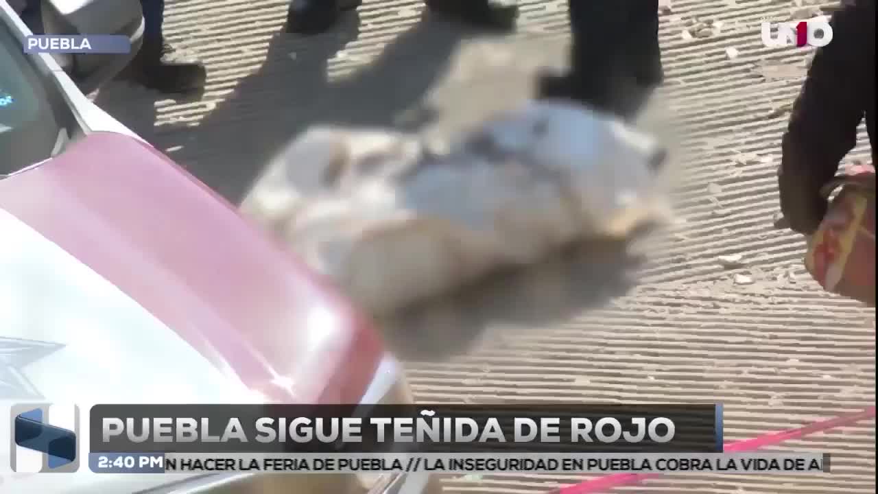 Puebla suma 244 homicidios en 2026: la violencia rebasa al gobierno de Alejandro Armenta y exhibe estrategia fallida de seguridad del titular Francisco Sánchez