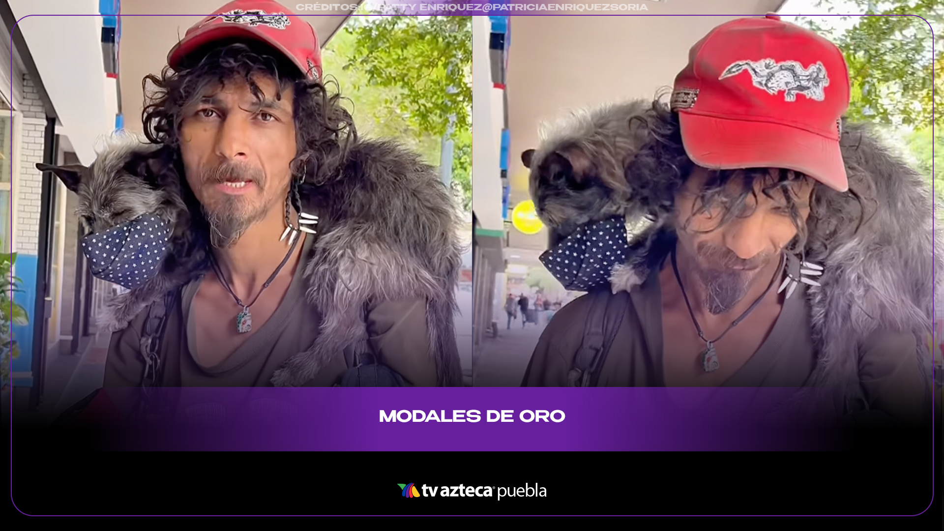 Perrita en Guadalajara usa cubrebocas y solo se lo quita si se lo piden “por favor”