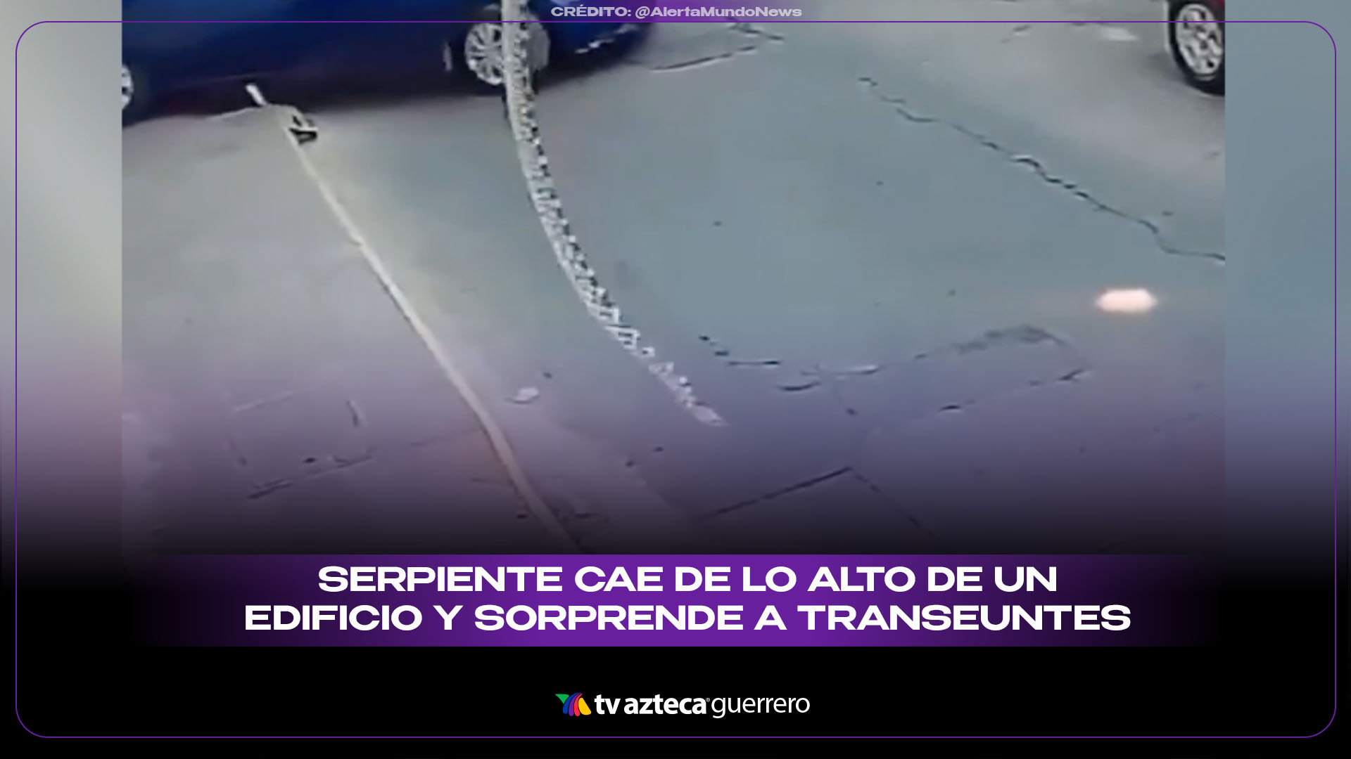 Serpiente cae desde lo alto de un edificio en el Centro Histórico de ...