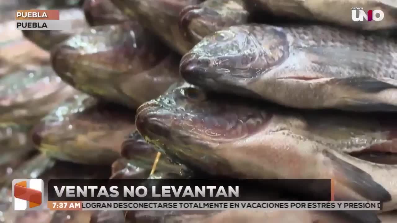 Ventas en Puebla no repuntaron tras Cuaresma y Semana Santa