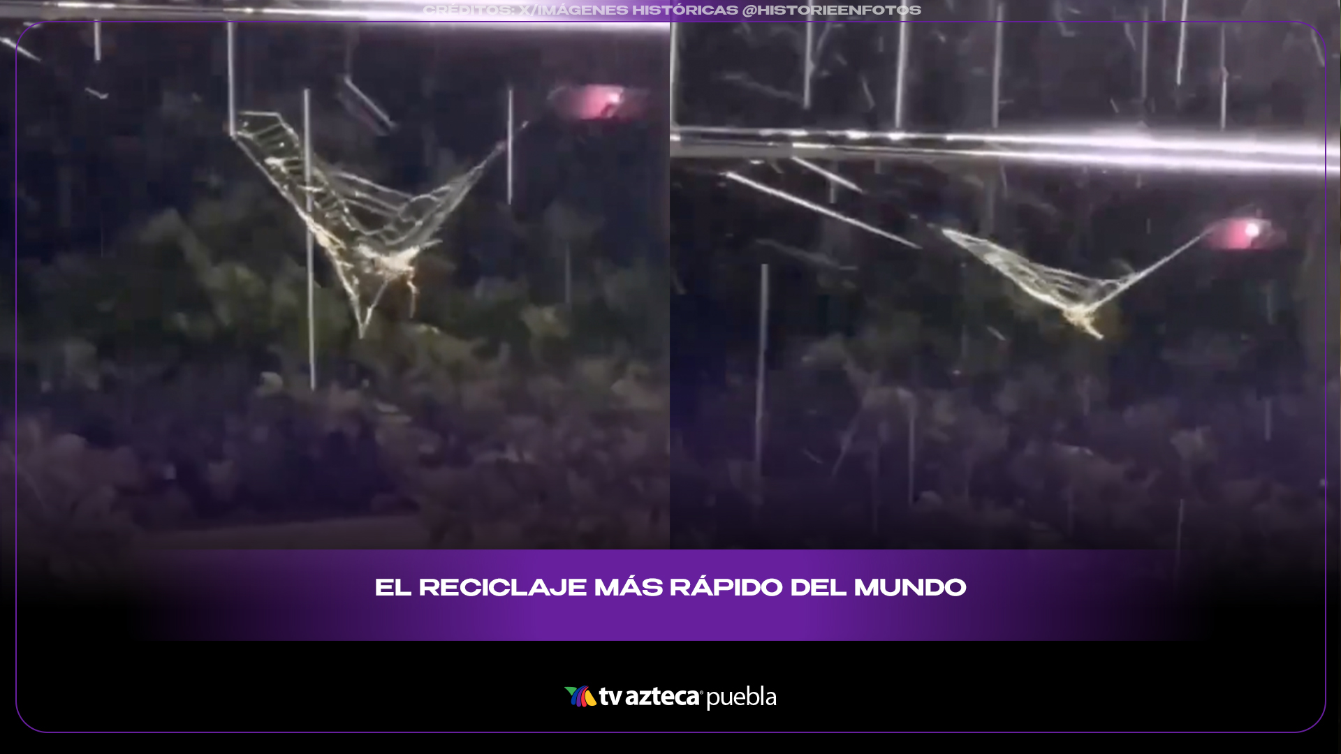 Arañas se comen su telaraña y la razón sorprendió a todos