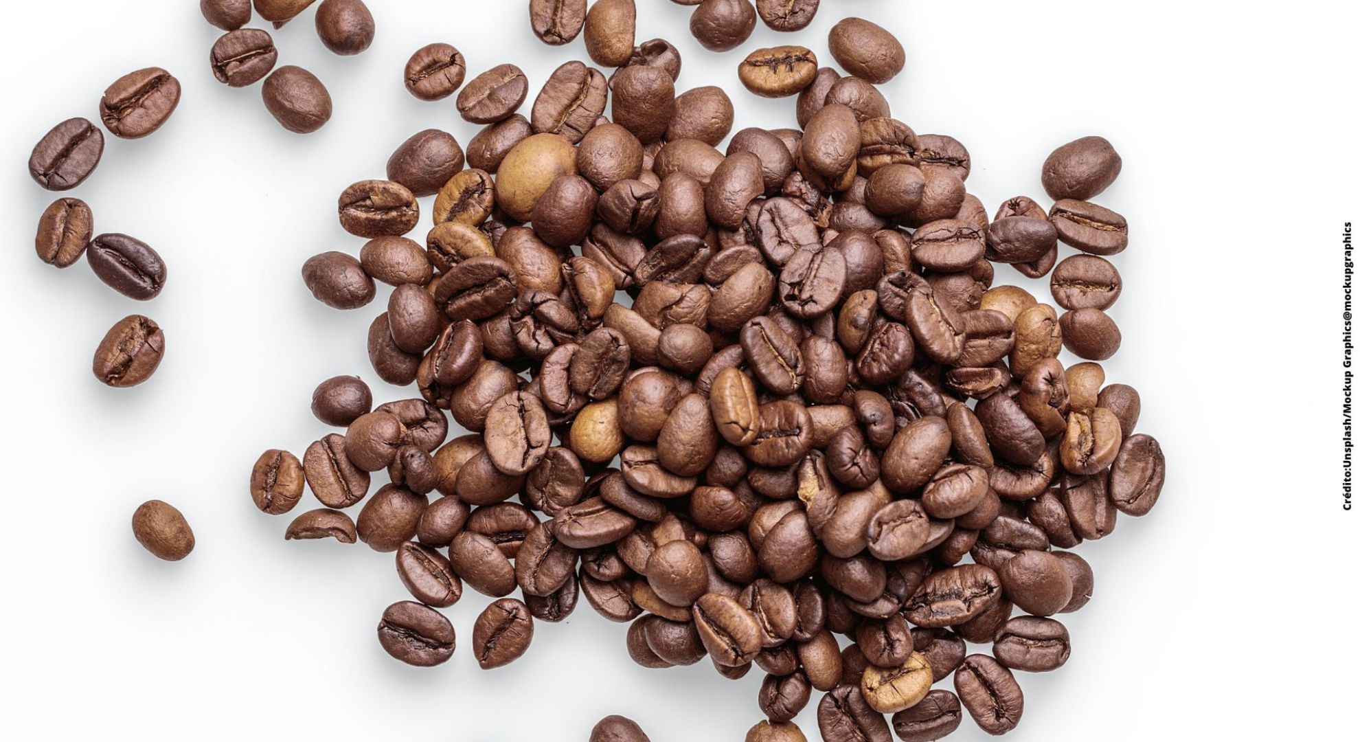 ¿Cuánto dura el efecto del café en tu cuerpo?