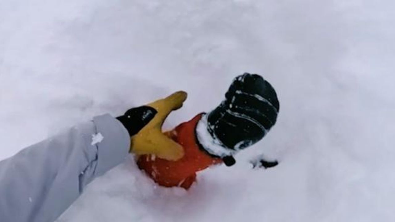 Captan a esquiador mientras rescata a hombre sepultado por la nieve ...