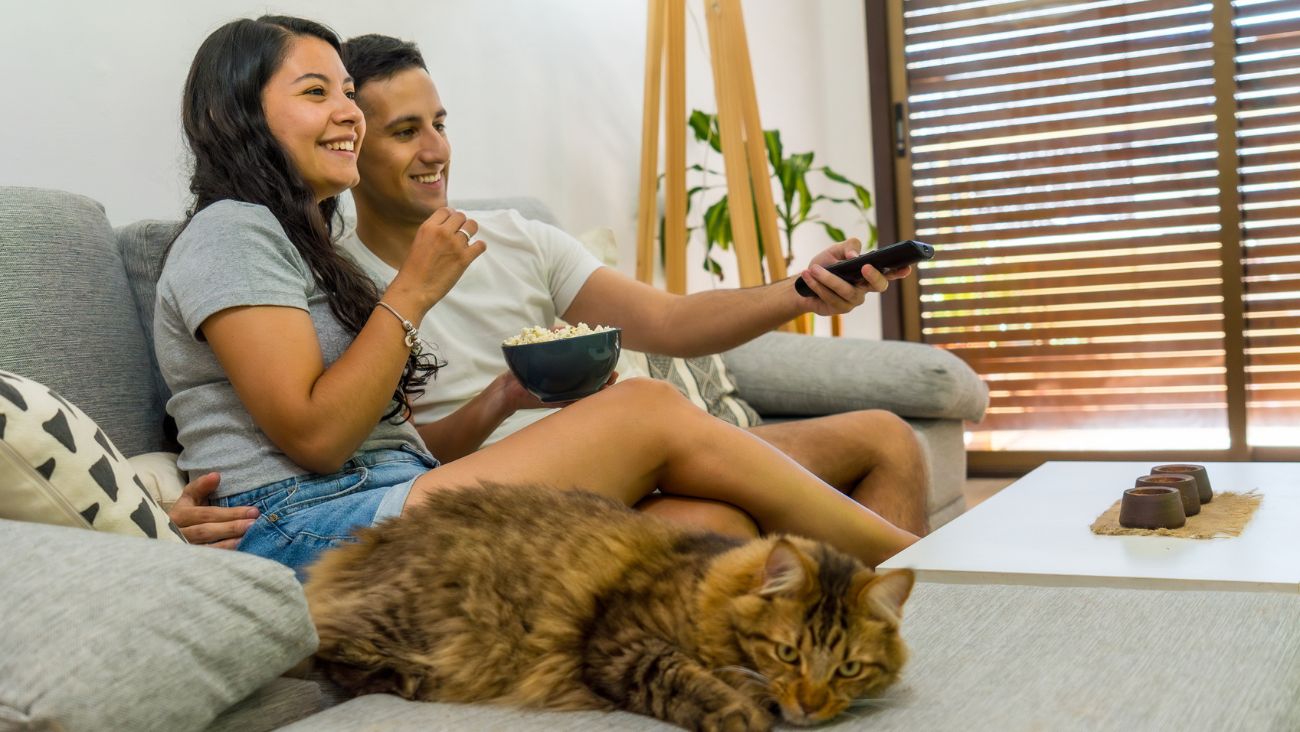 Derechos de las parejas que viven en concubinato; requisitos y cómo hacer el trámite