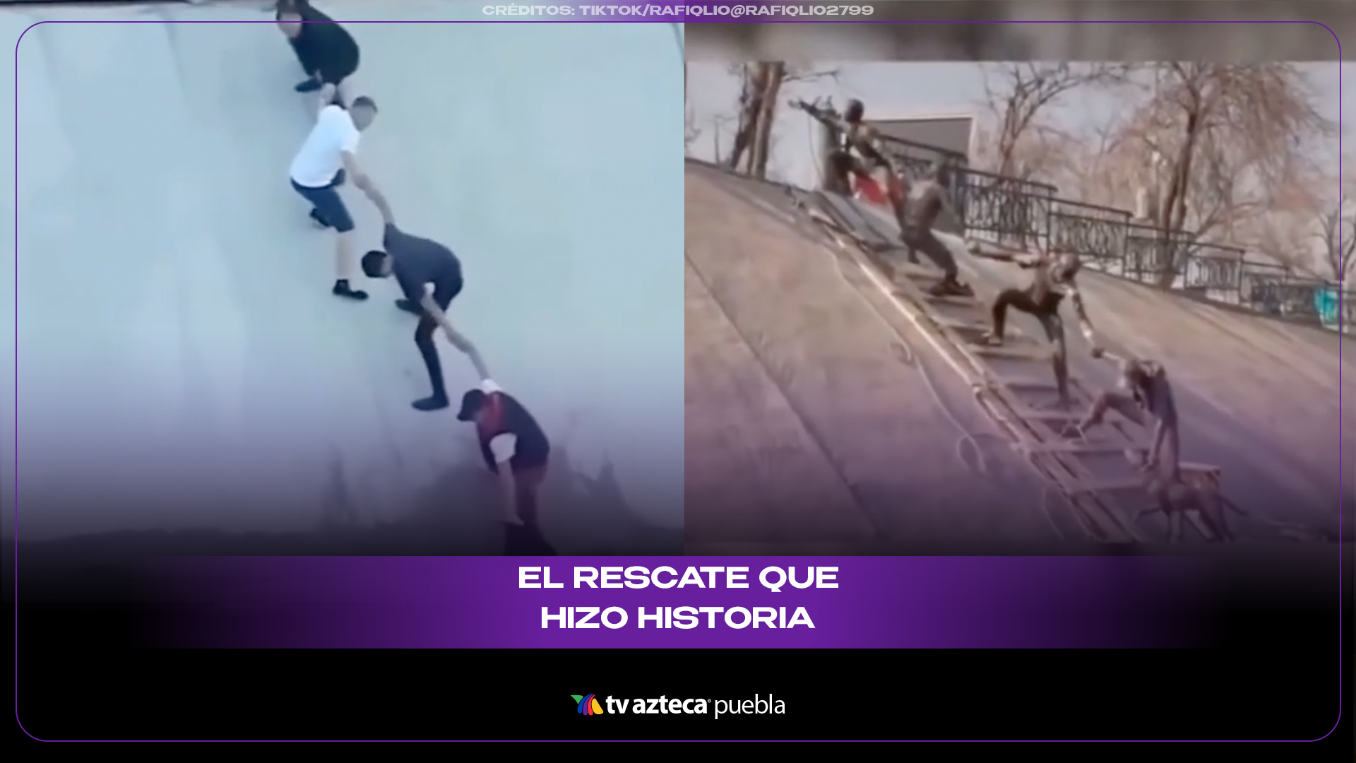 Rescate viral de perro se convierte en estatua 10 años después