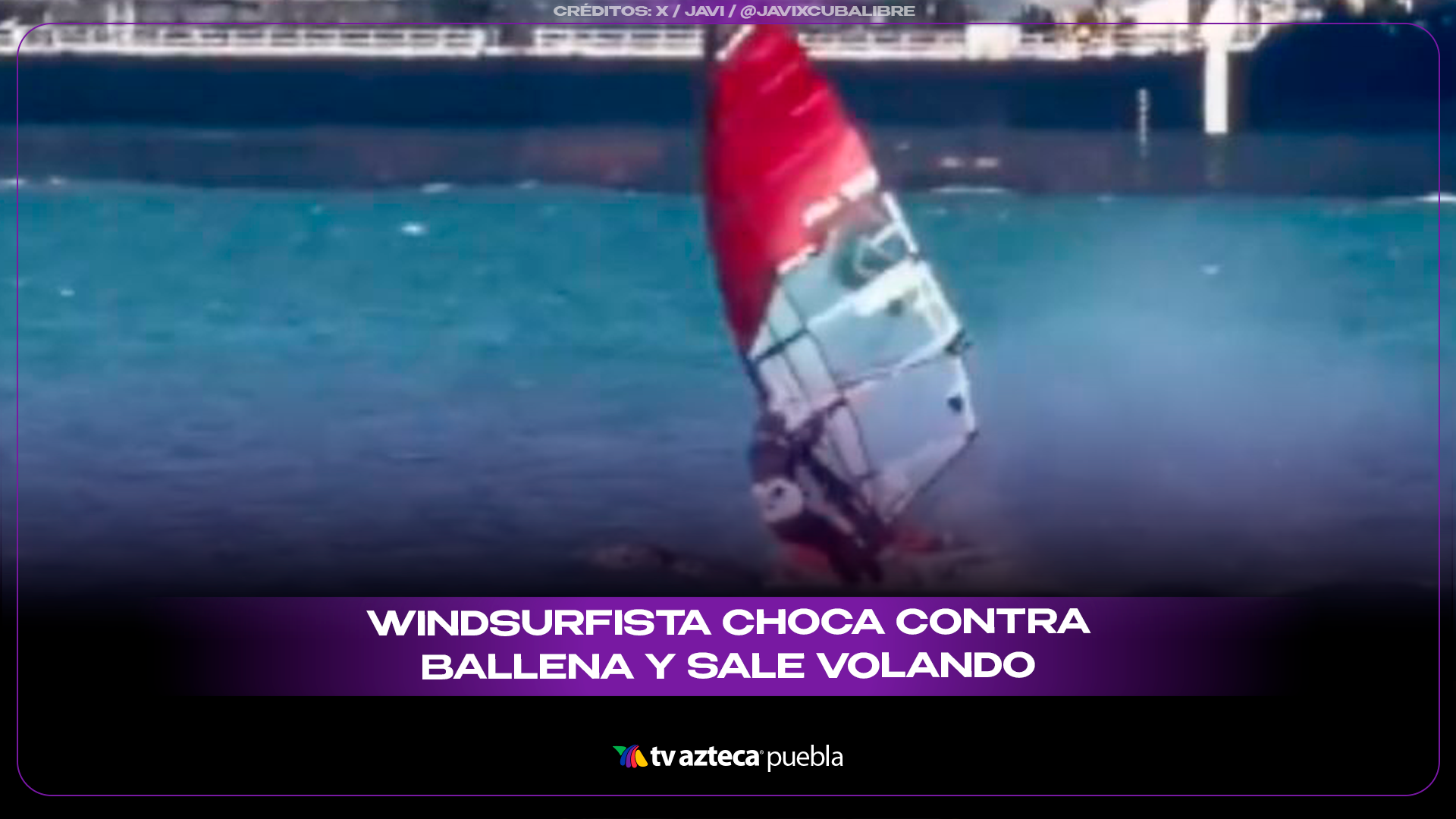 Windsurfista choca con ballena en San Francisco y sale volando.