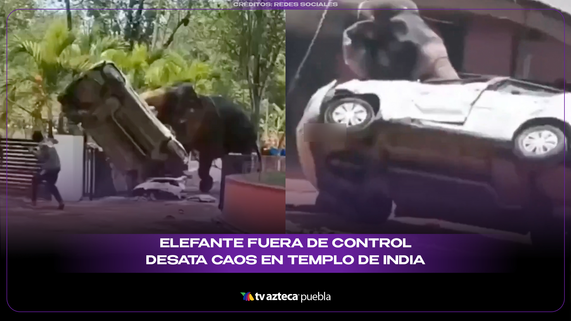 Elefante fuera de control desata caos en templo de India y deja una persona sin vida