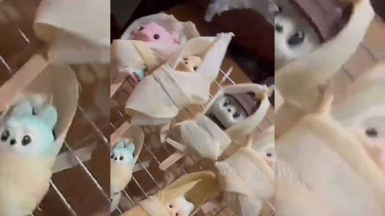 Adiós a los tamales aburridos; así son los "Ternutamales" que puedes comprar en CDMX por menos de 40 pesos