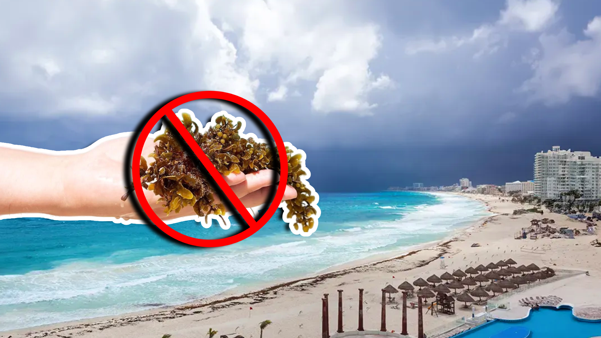 Playas libres de sargazo en Cancún y todo Quintana Roo HOY 17 de abril