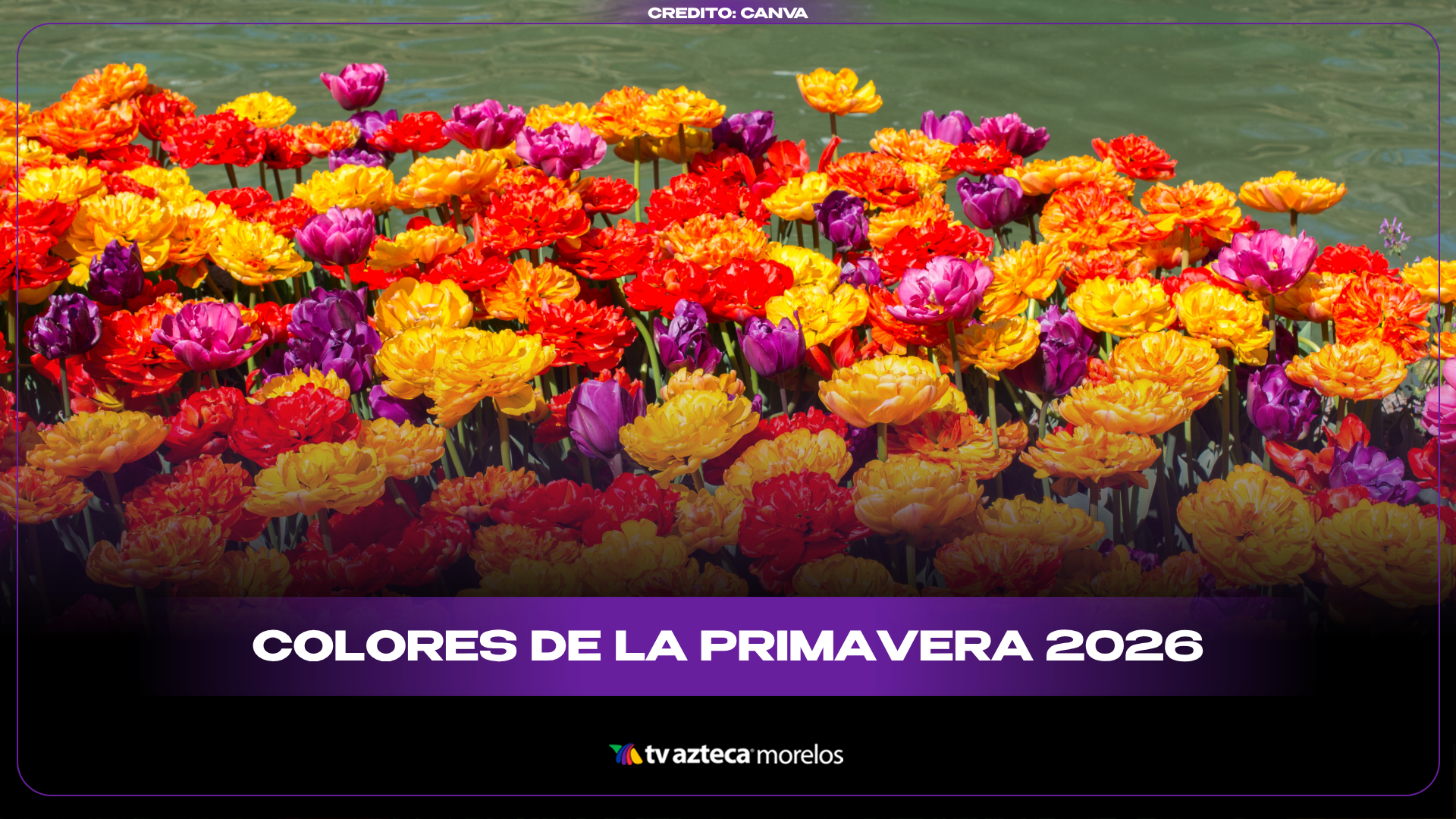 Colores de la primavera 2026