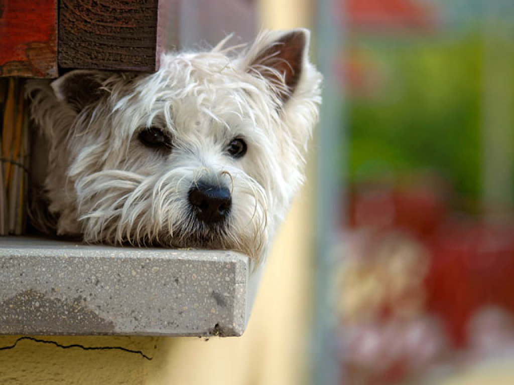 Ni Jalisco ni Querétaro: un emprendimiento de este estado de México ya es furor en 150 tiendas del país