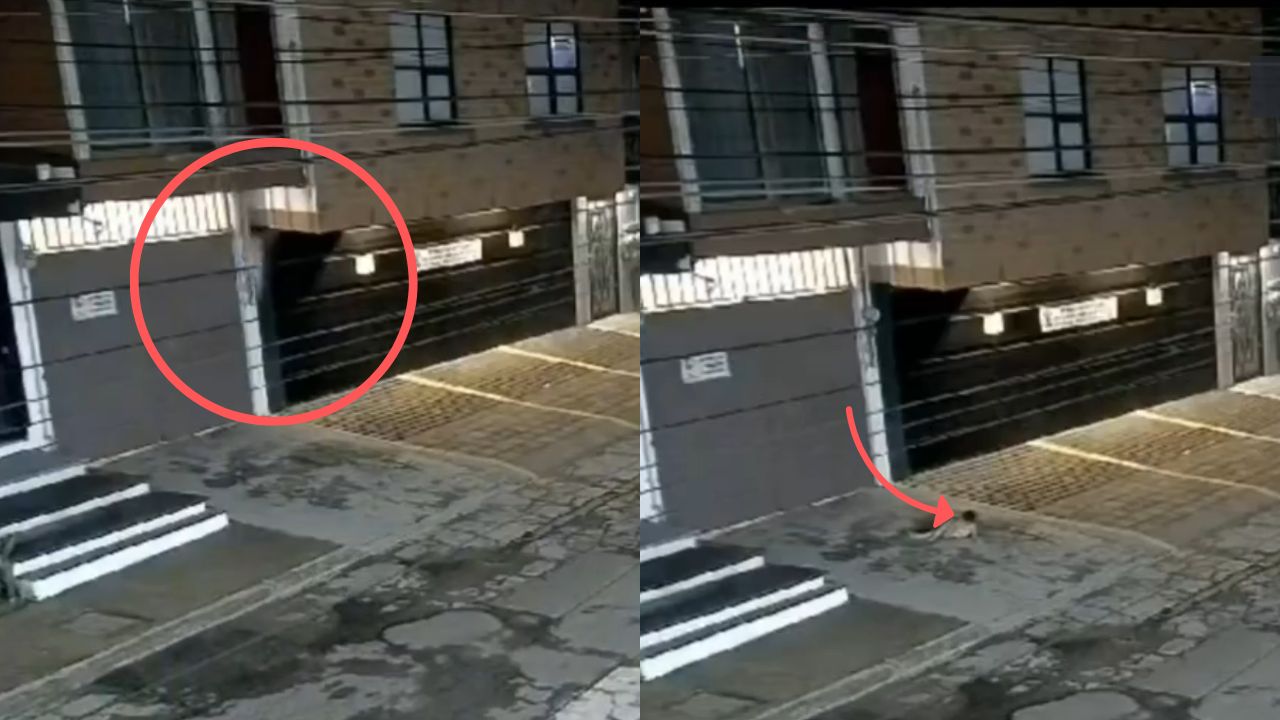 Bebé cae de un segundo piso en Puebla ¿Qué le pasó?