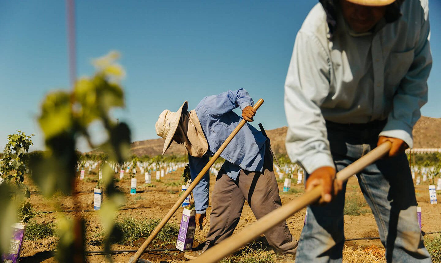 Conexión con la Tierra Tablas Taller Agrícola