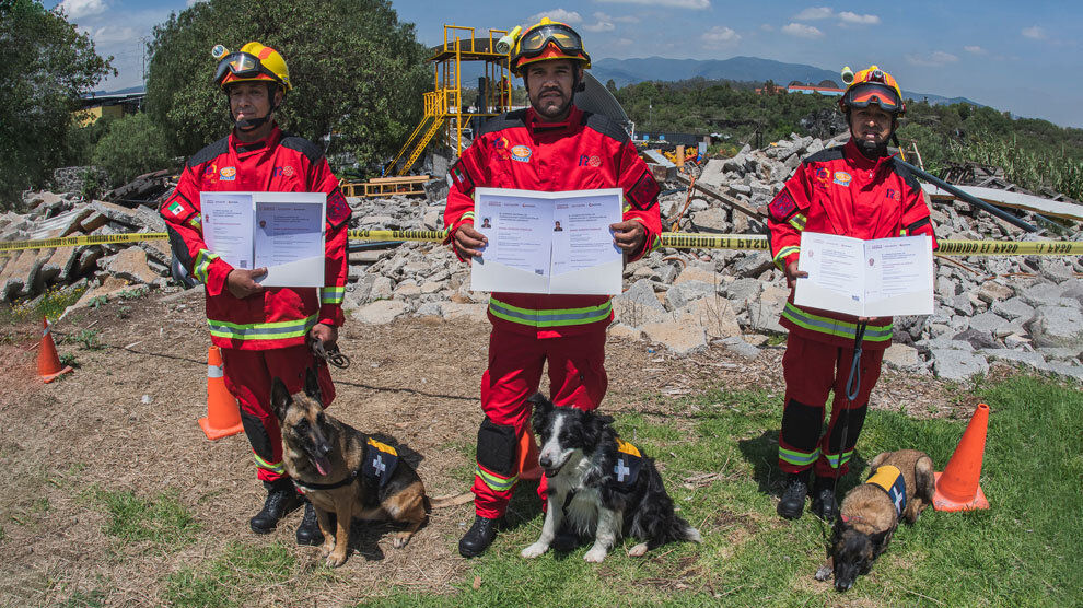 Podcast Cortando la Baraja: Unidad Canina de Rescate de la UNAM - Vimarsana News