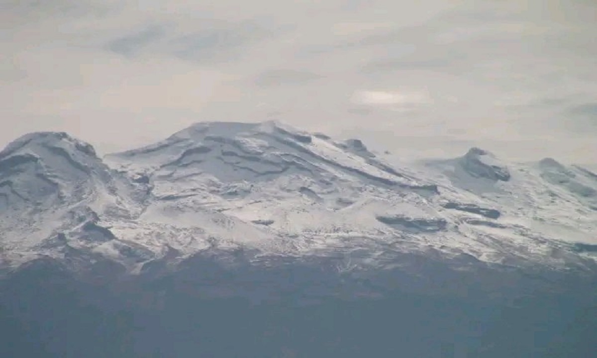 ¡Increíble descubrimiento en el Iztaccíhuatl! Hallan nueva especie de osos de agua (IMÁGENES)
