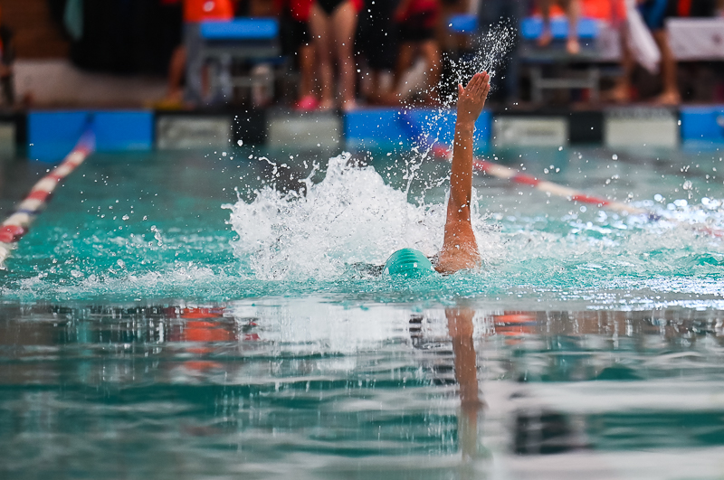 Natacion_2/natacion_289.jpg